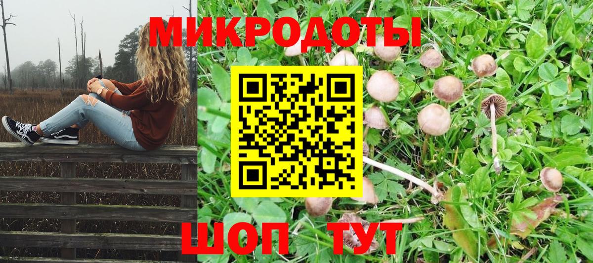 Белогорск  Псилоцибиновые грибы Psilocybe  Вход с VPN 